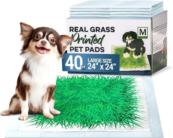 Big Dawg Pet Supplies Real Grass